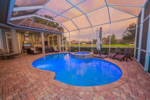 Backyard32