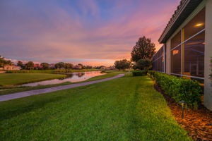 Backyard41