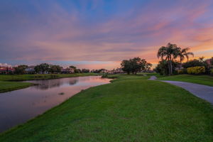 Backyard44