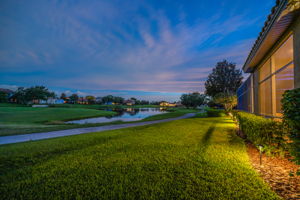 Backyard54