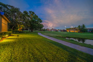 Backyard56