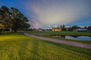 Backyard58