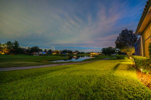 Backyard59
