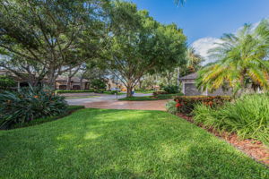 Frontyard