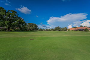 Golf Course4