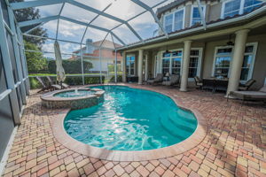Pool11