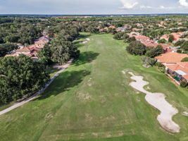 Aerial (17)