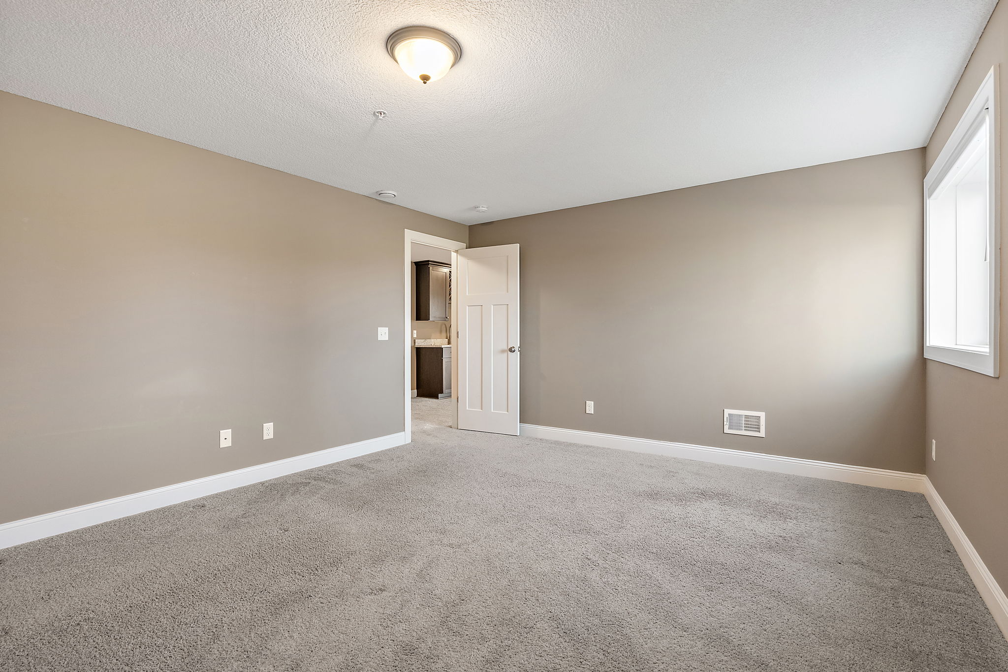 Lower Level Bedroom 3