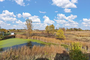 Pond Nature Area