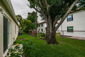 Back Exterior 1