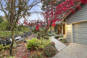 Beautiful front gardens!