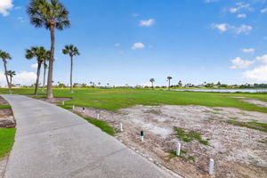 Backyard View