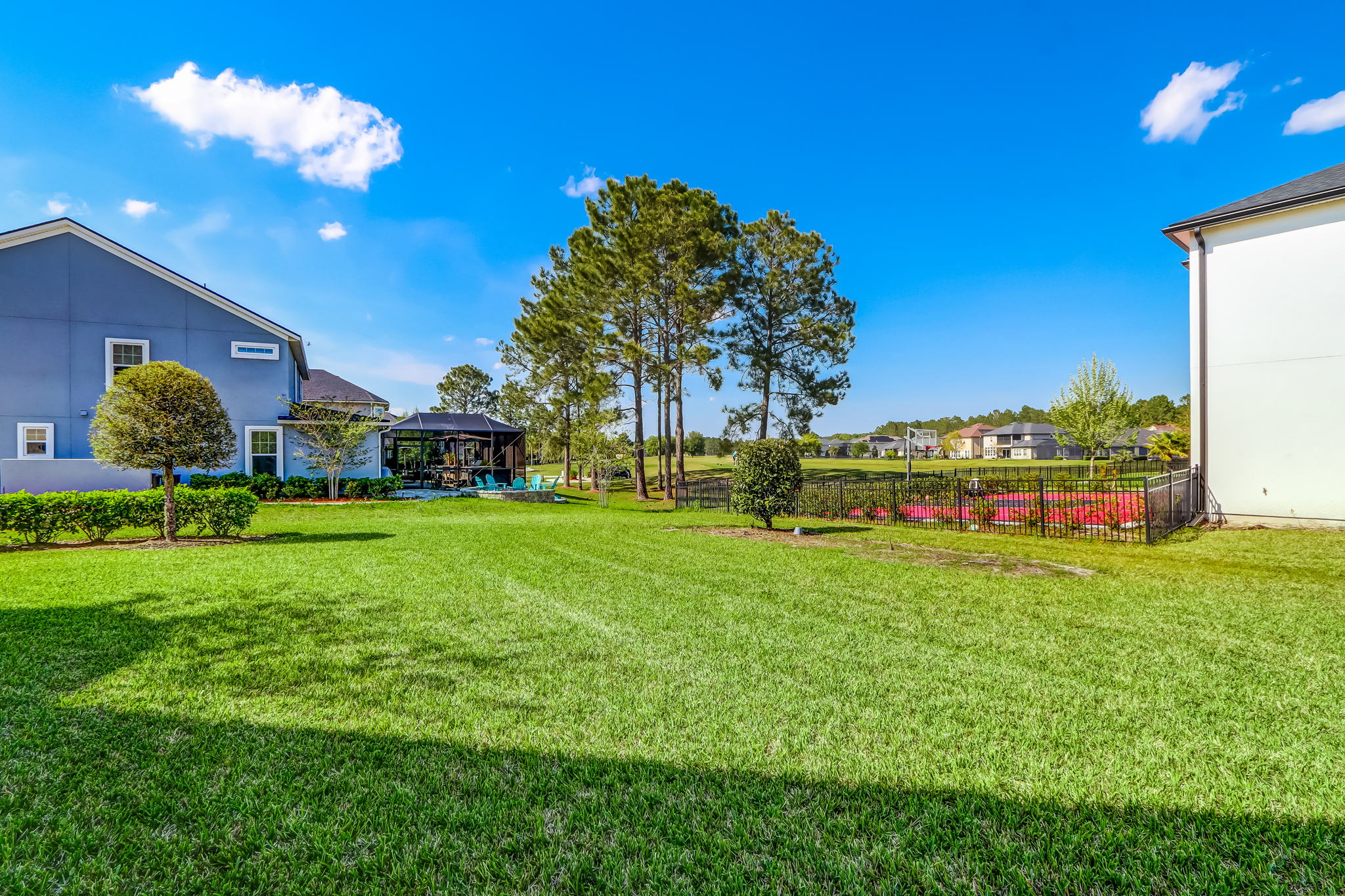 Backyard