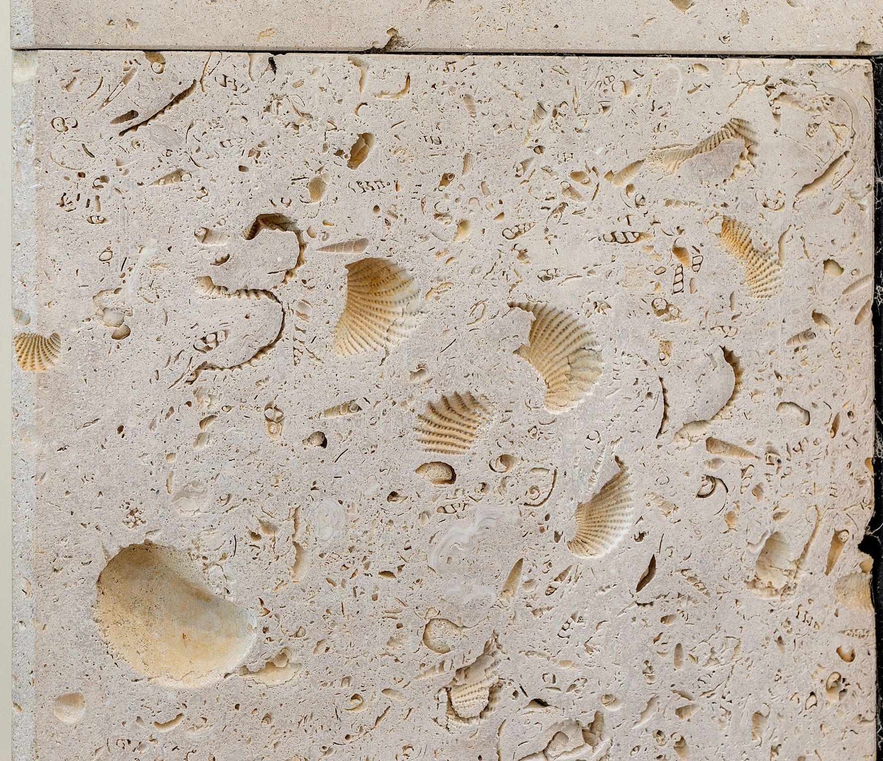 11-Fireplace Detail