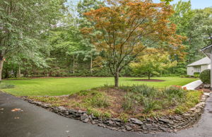 04-Front Yard