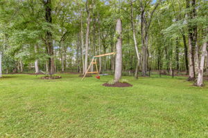 42-Backyard