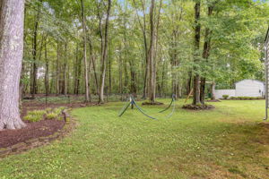 43-Backyard