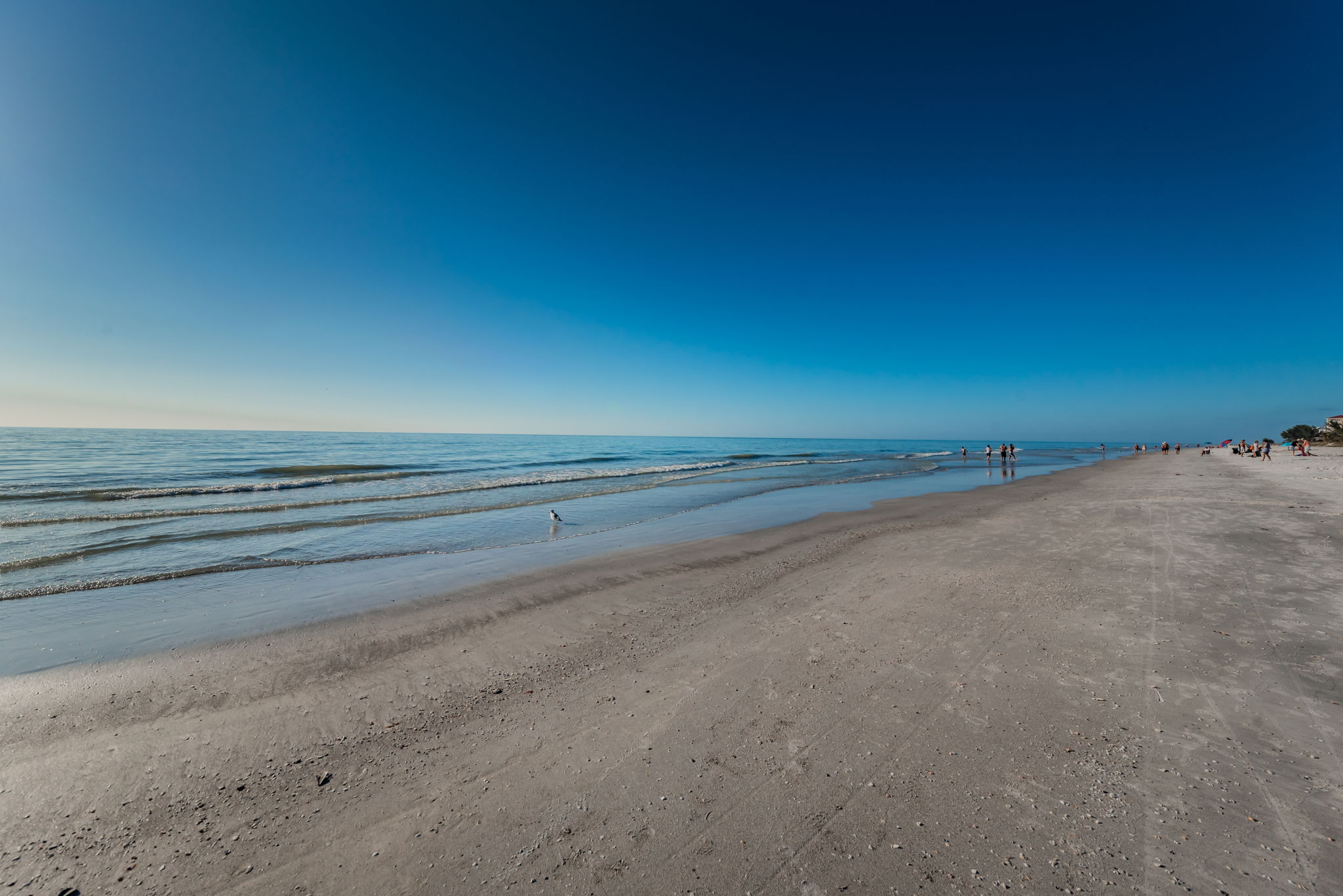 Indian Shores Beach7