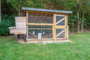  Photo 44