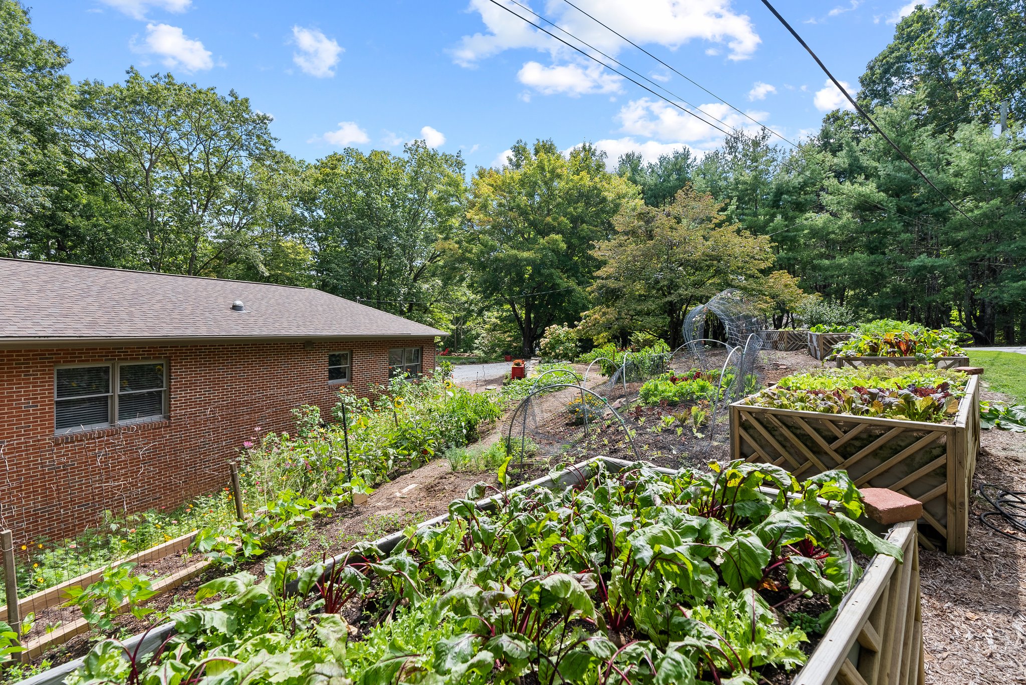 Raised Beds
