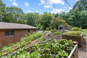 Raised Beds