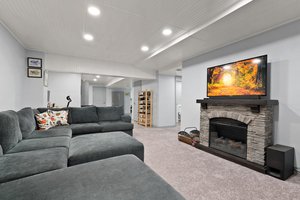 Media Room/Rec Room/Den Main Downstairs Main Dwelling