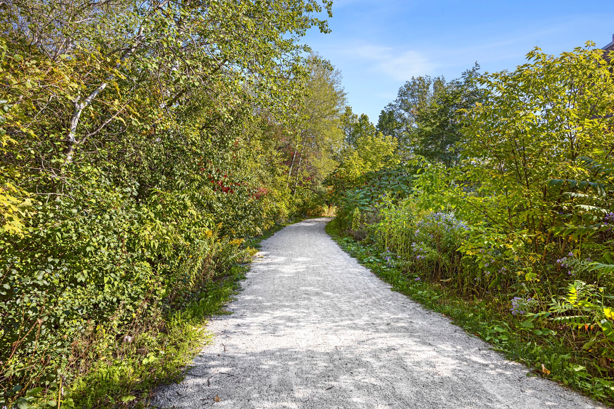 Richmond Hill property showcase — delivered property photograph 67