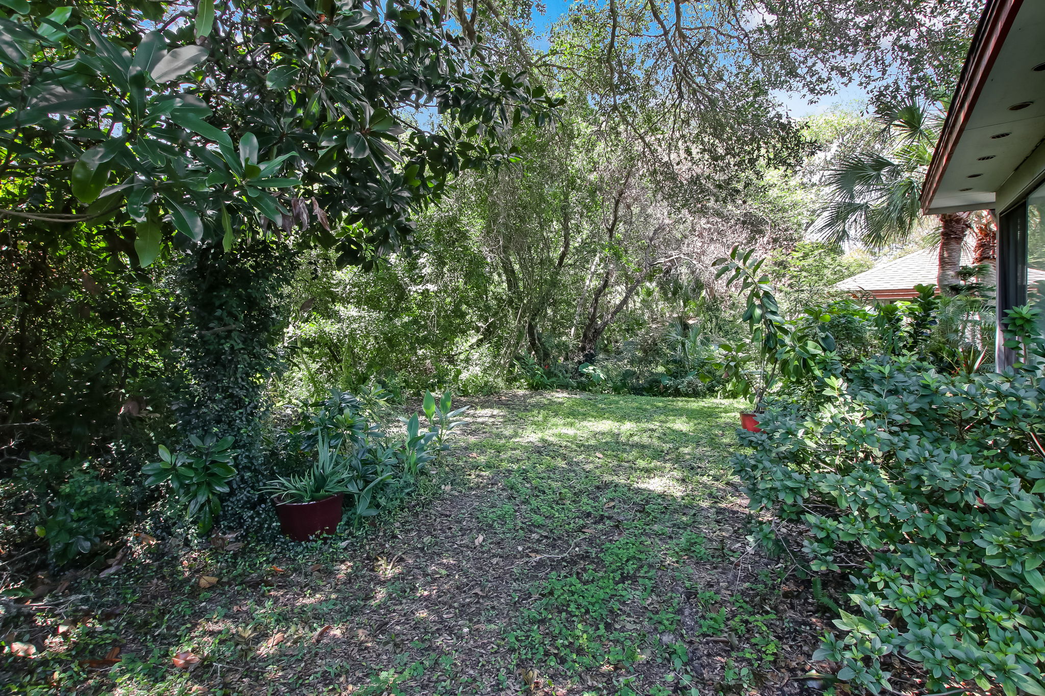 Backyard