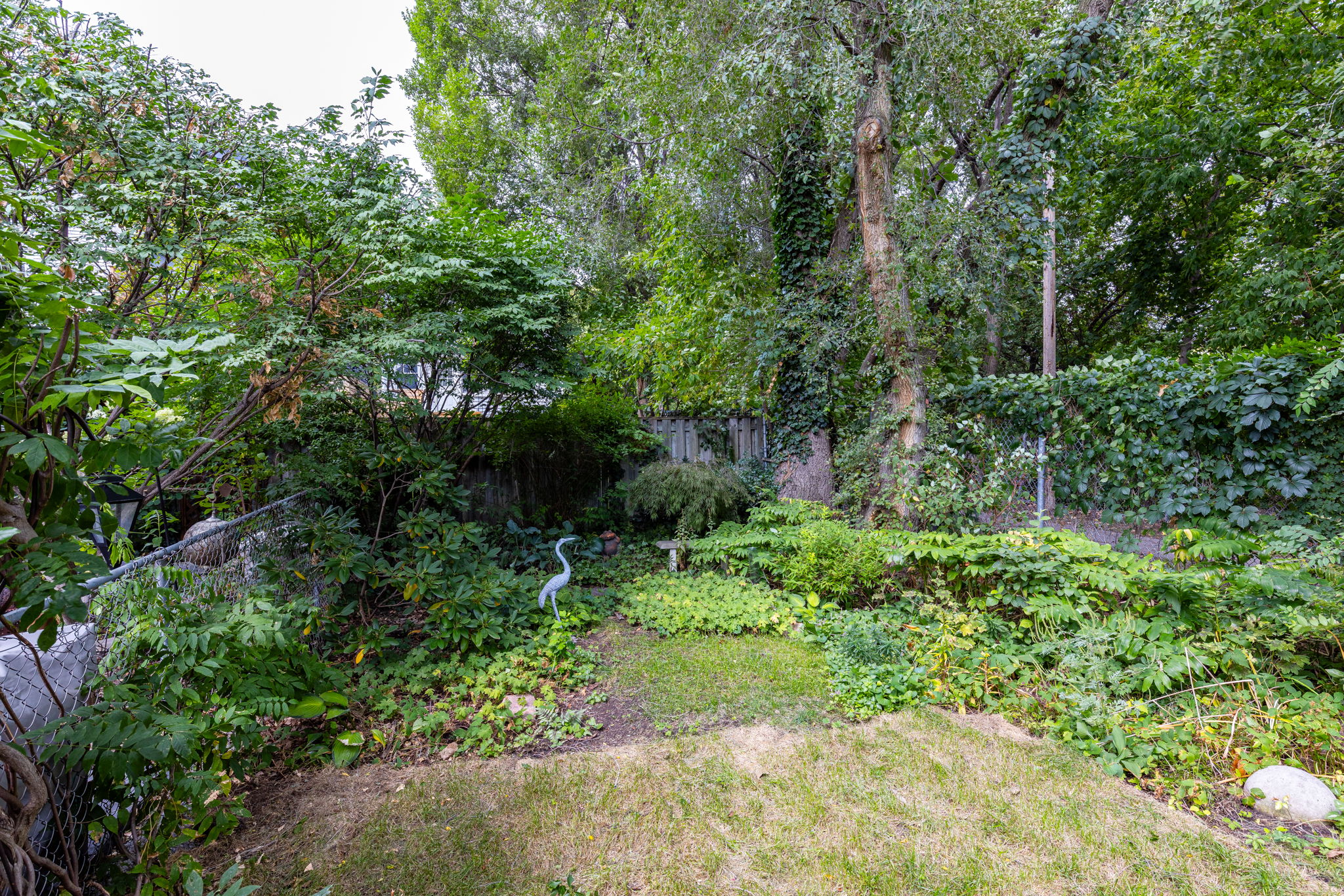  Photo 52