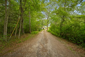 Photo 35