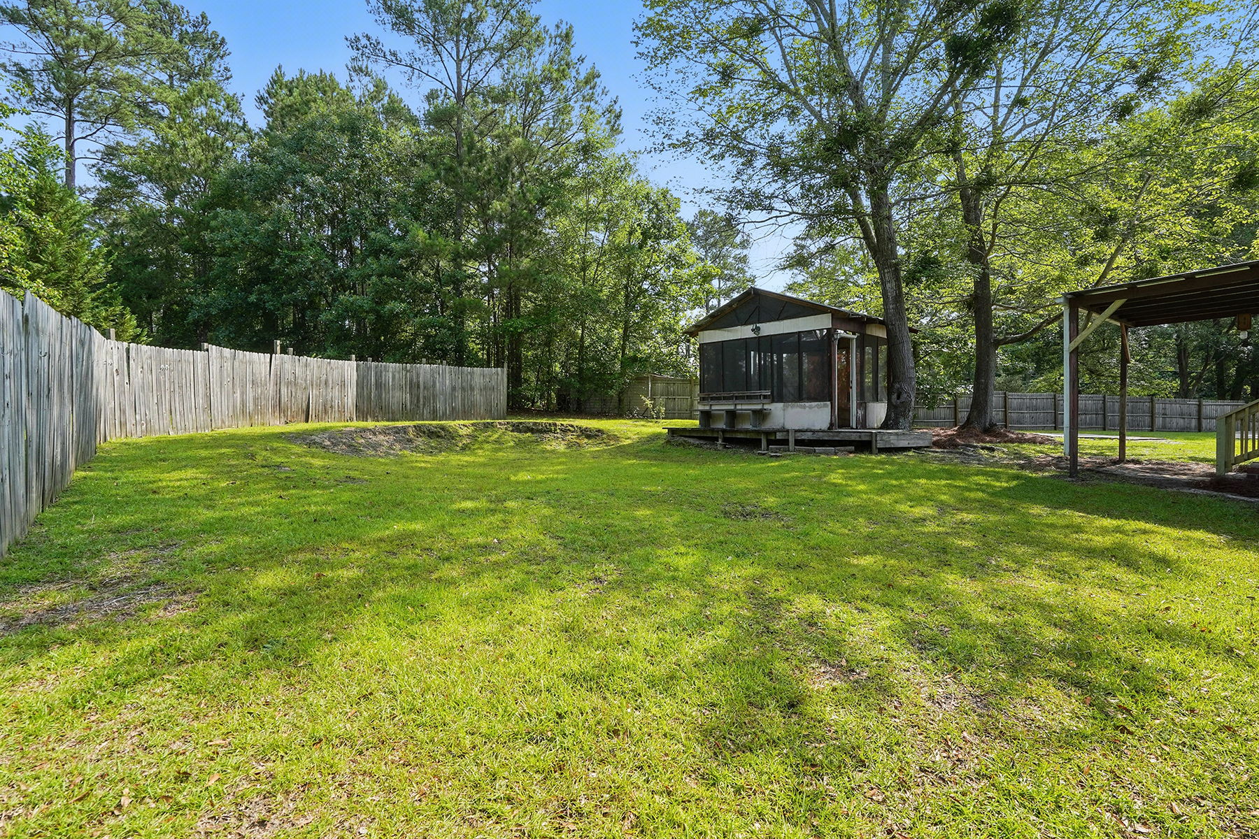 Back Yard