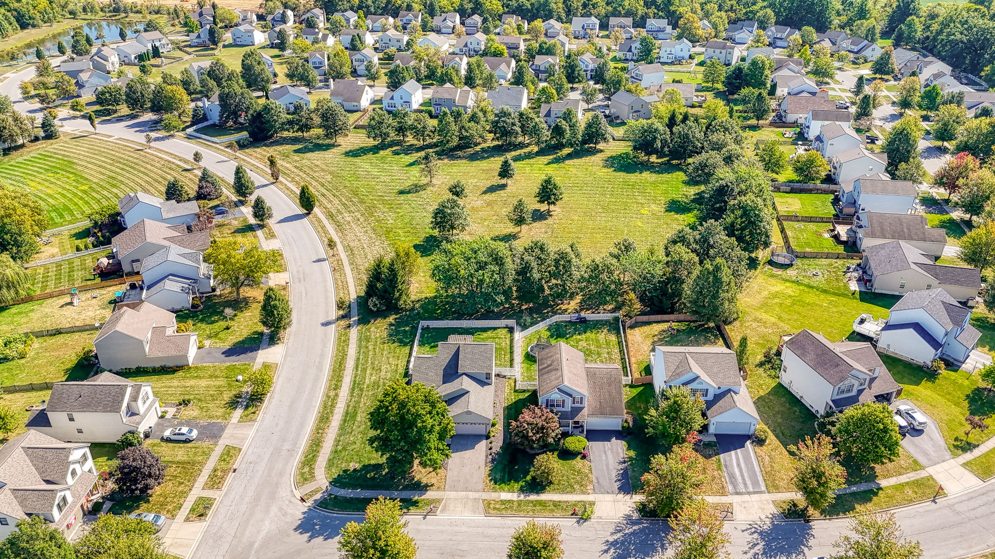 106 Purple Finch Loop (34)