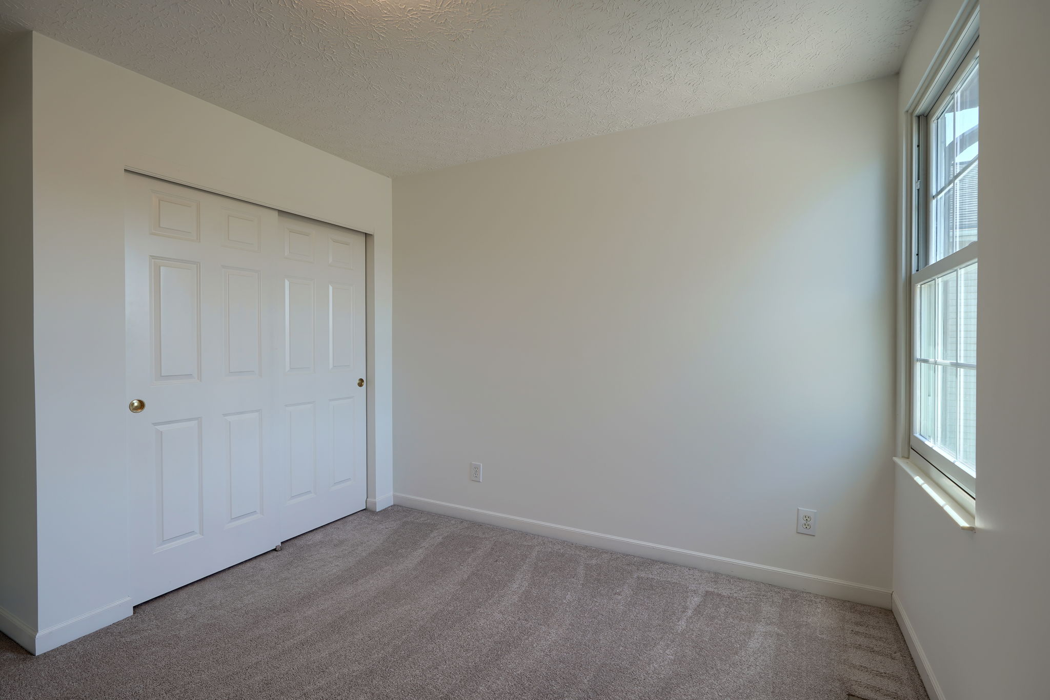 106 Purple Finch Loop (70)