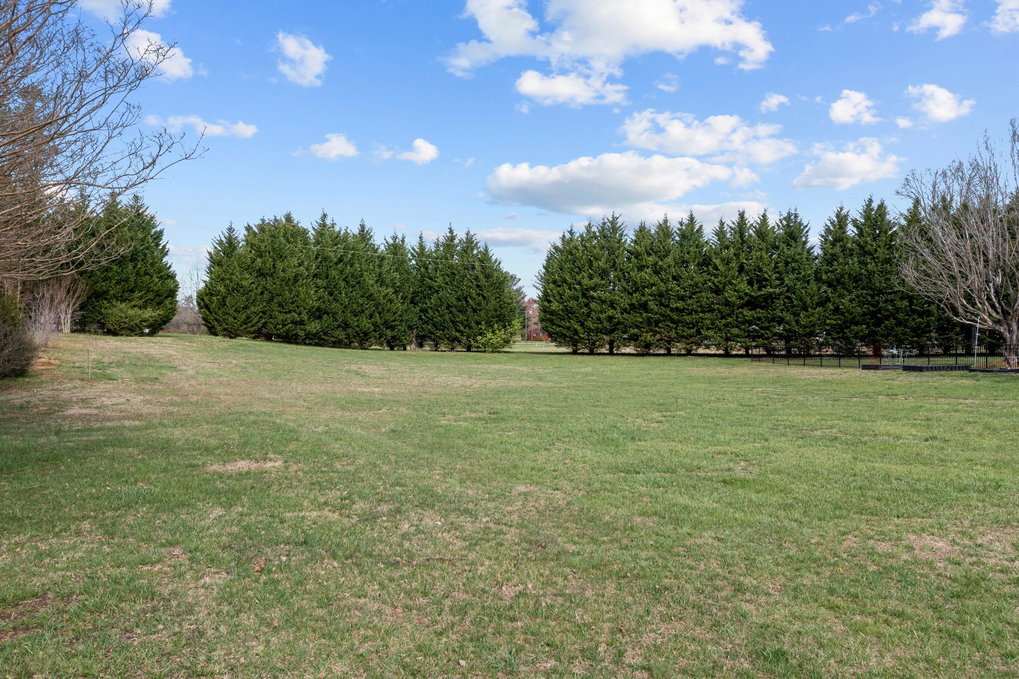 Side Yard