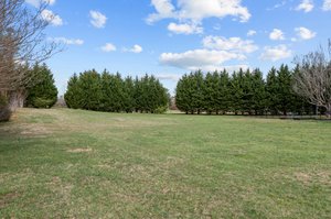 Side Yard
