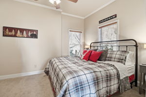 Terrace level guest bedroom