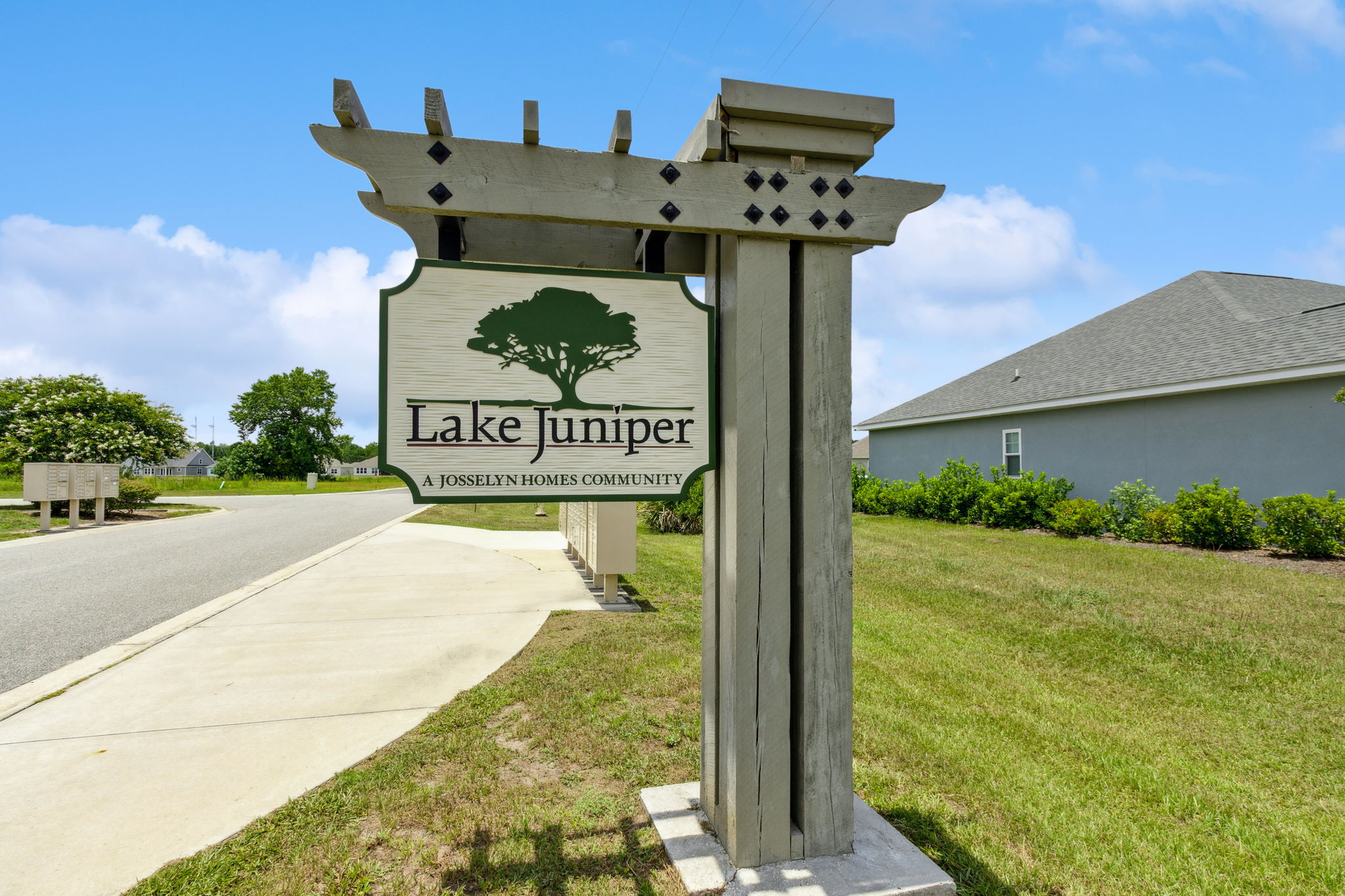 Lake Juniper
