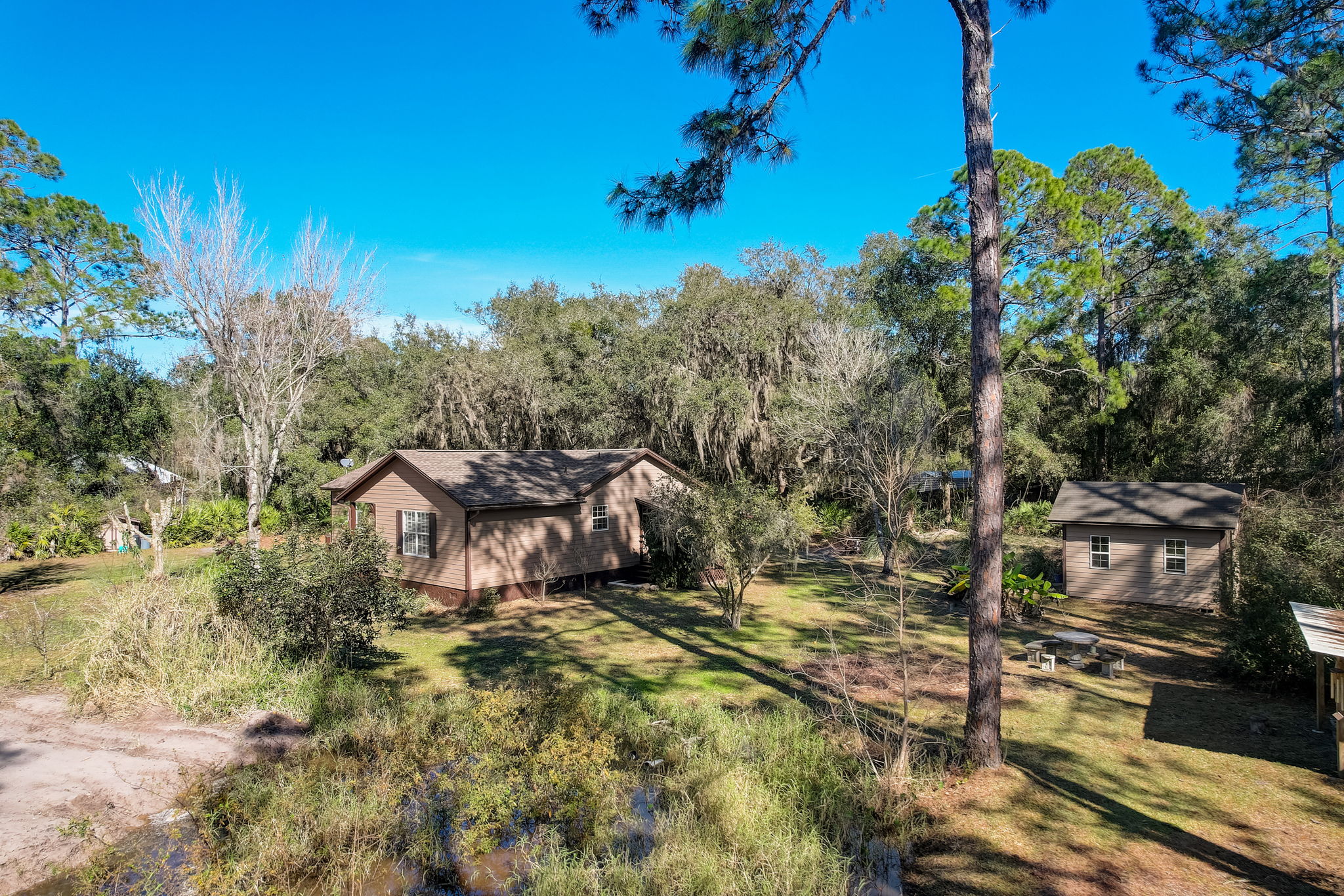 Water Oak Ct-041
