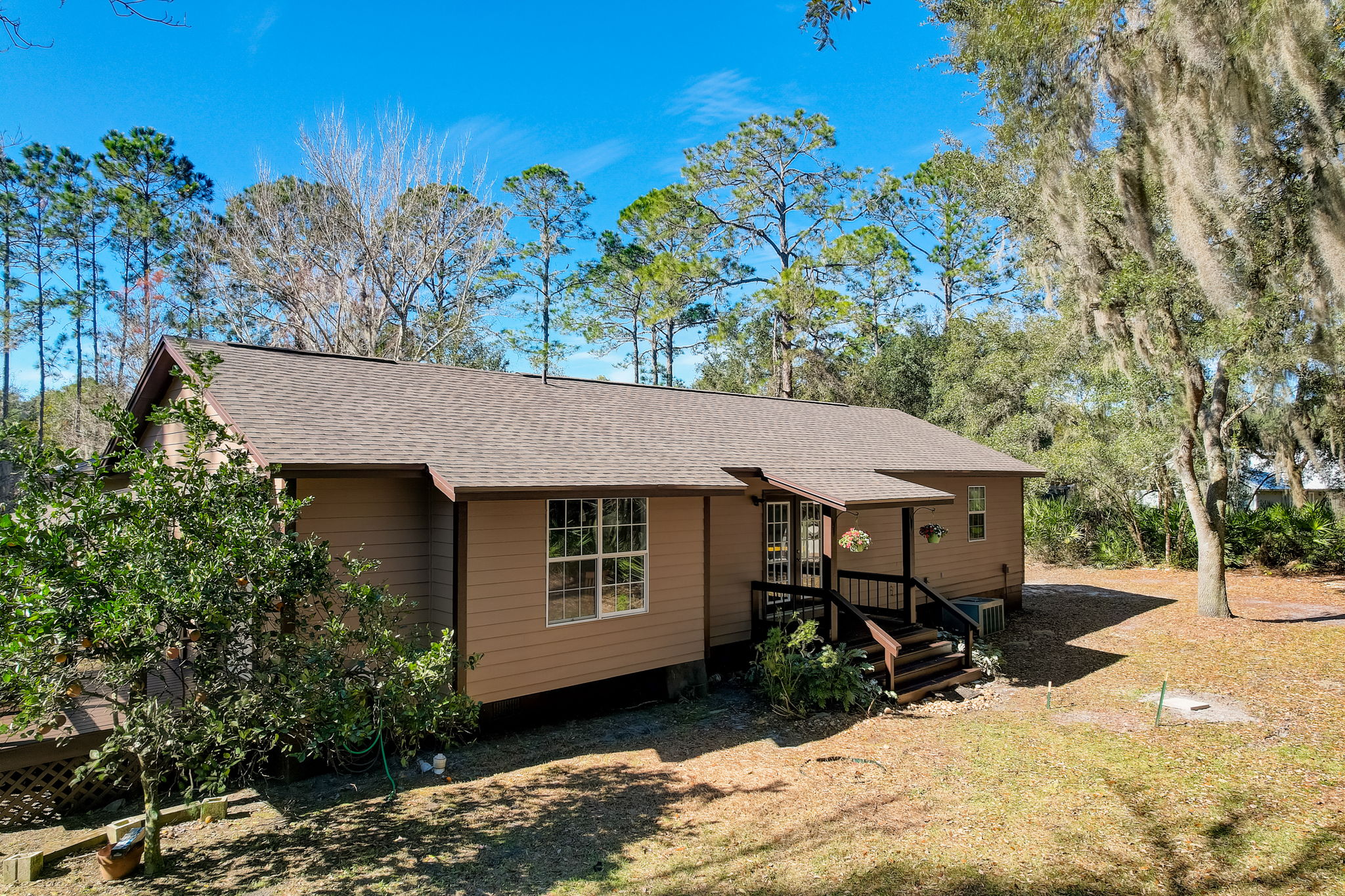 Water Oak Ct-045