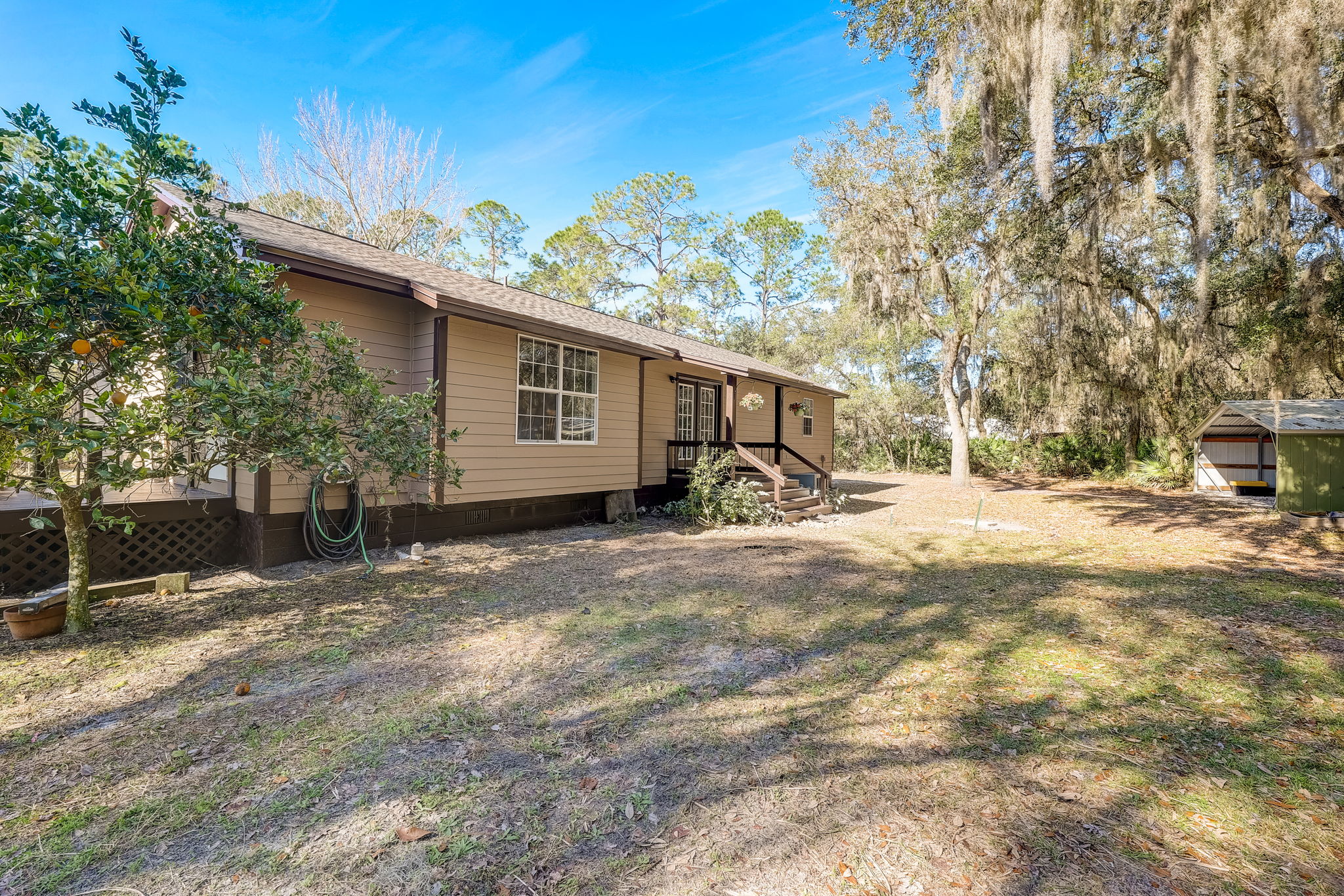 Water Oak Ct-032