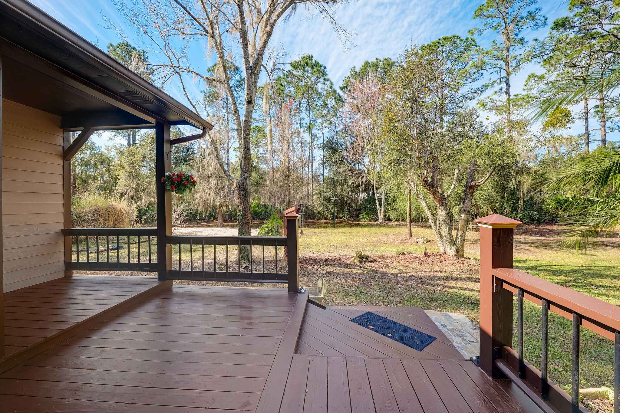 Water Oak Ct-006