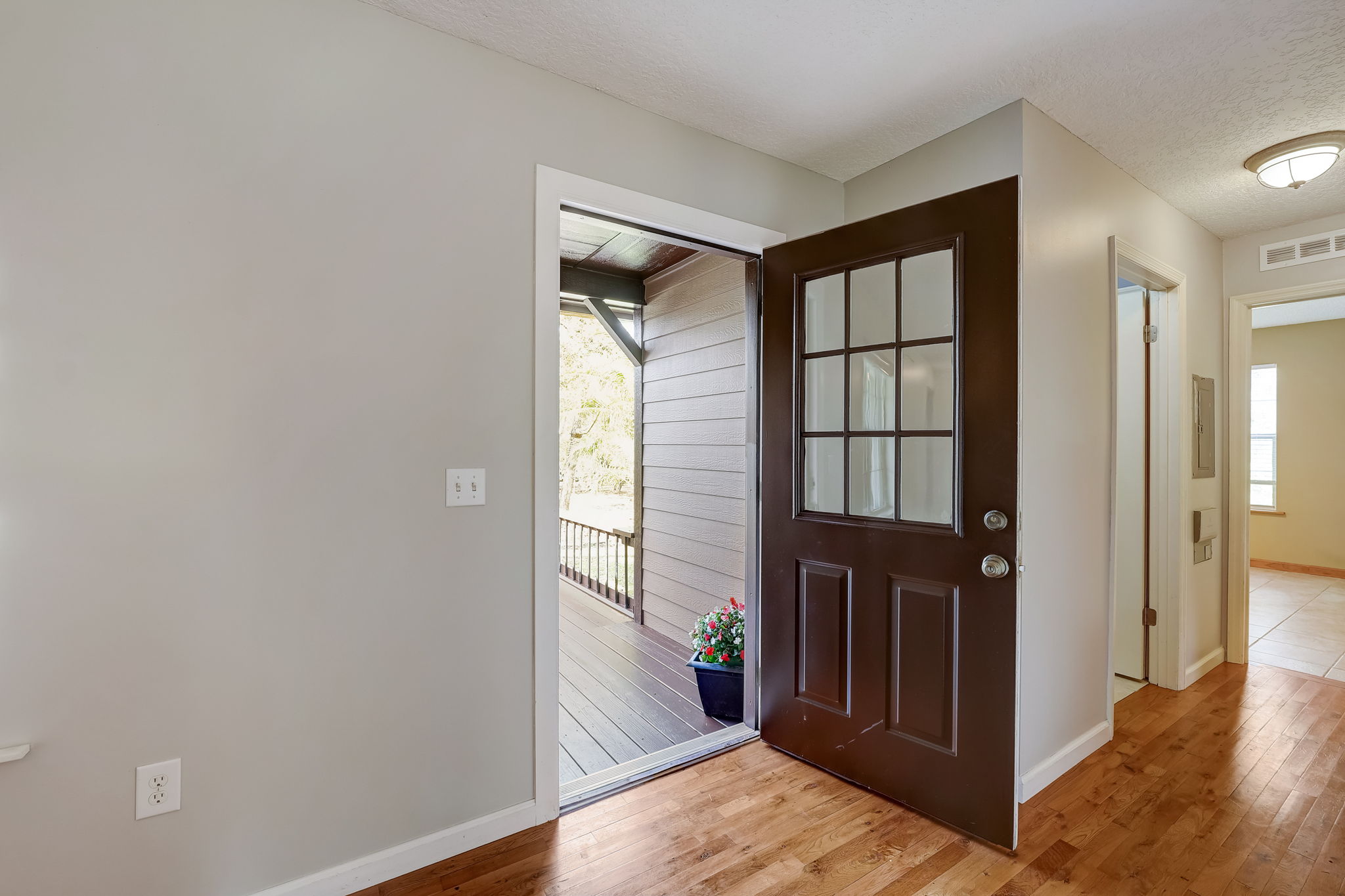 Water Oak Ct-007