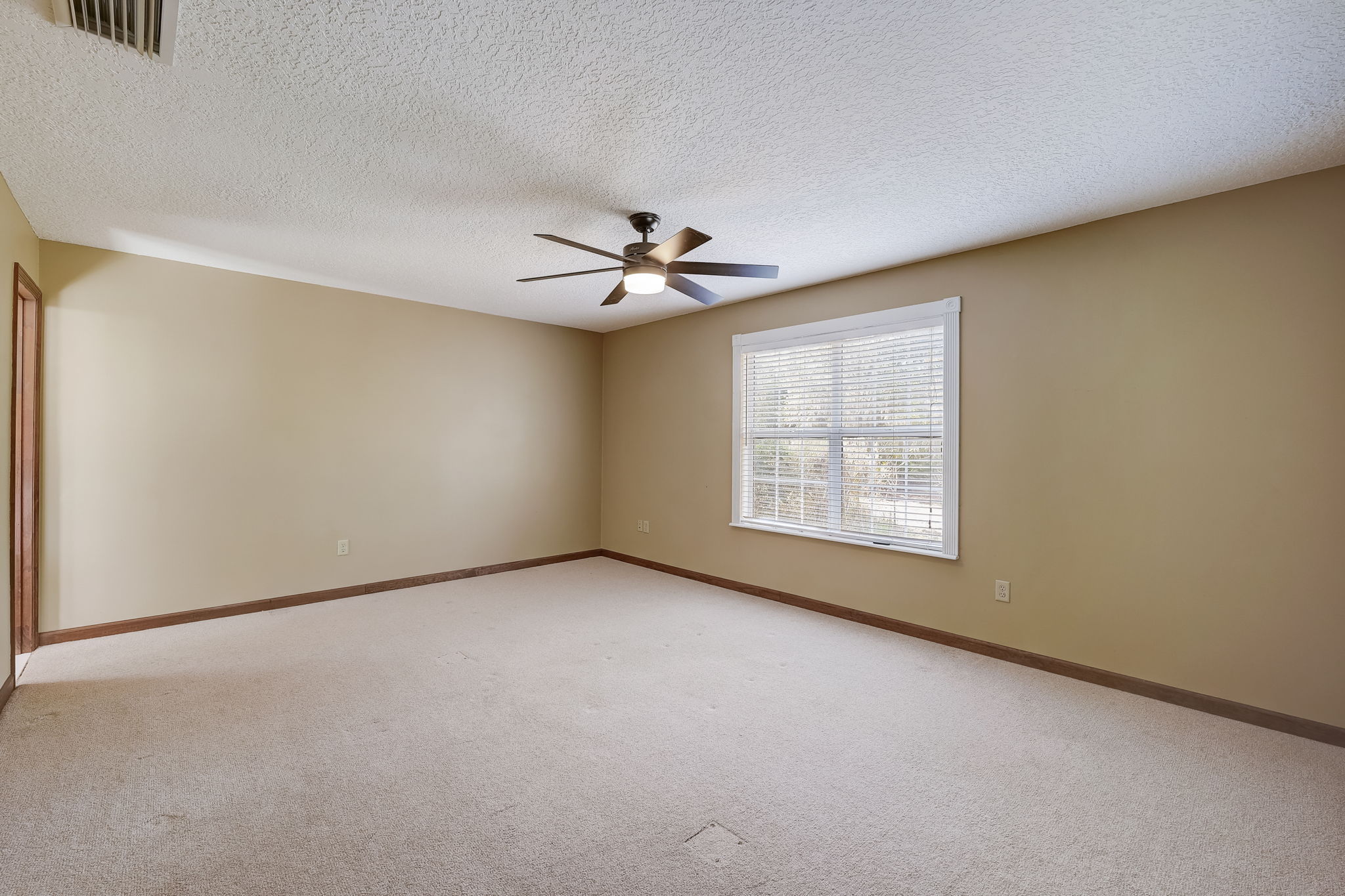 Water Oak Ct-025