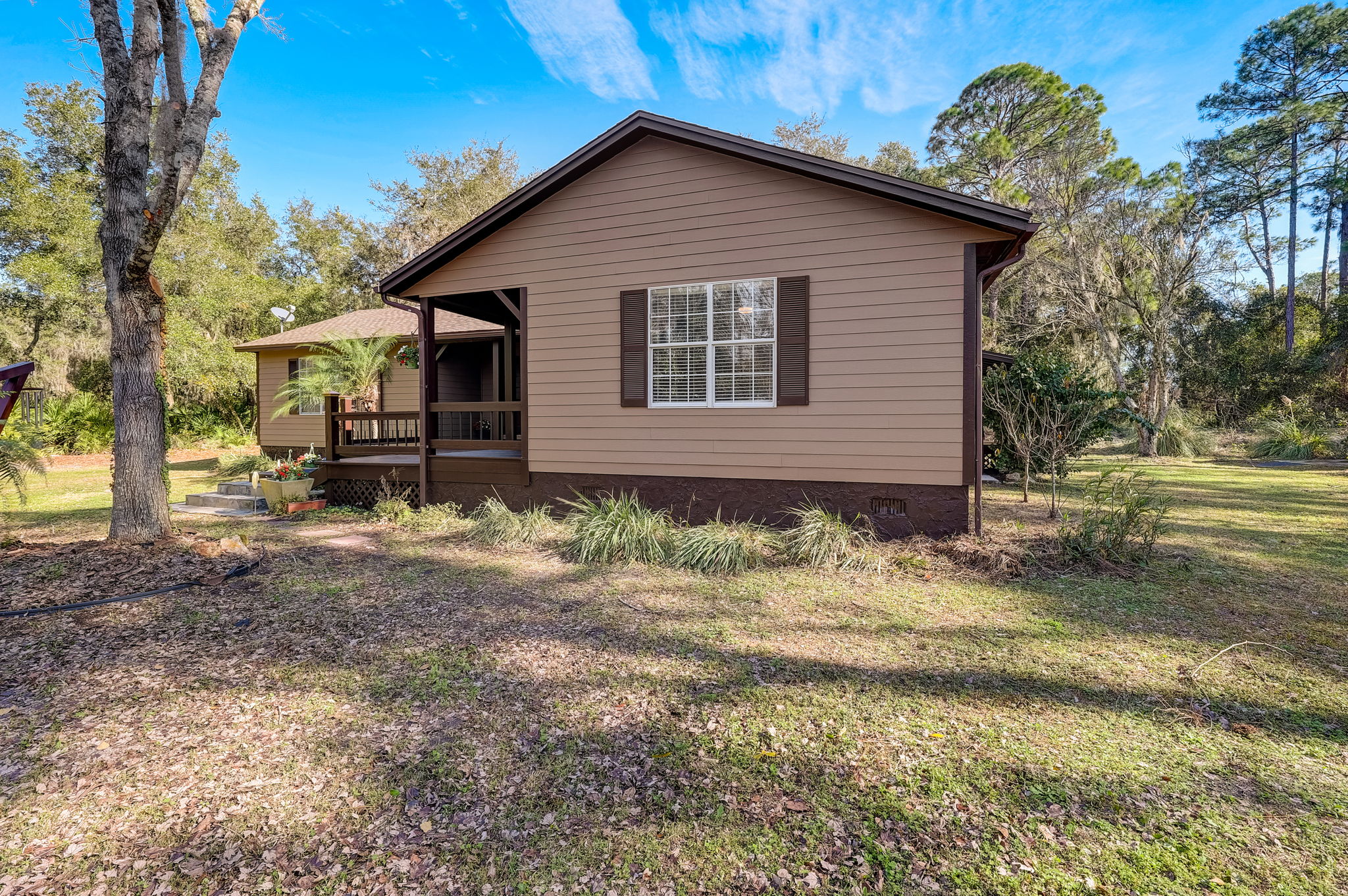 Water Oak Ct-003