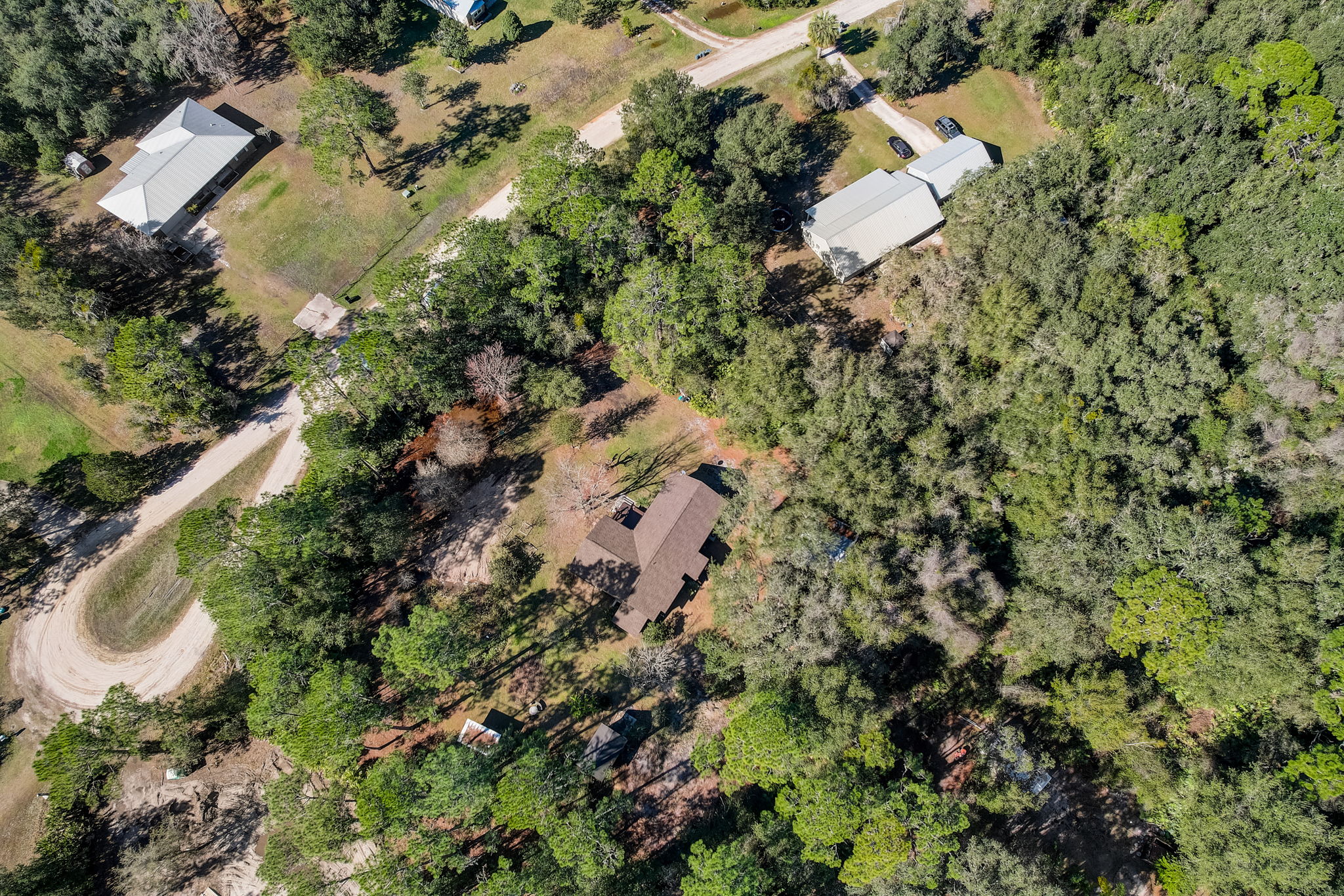 Water Oak Ct-046
