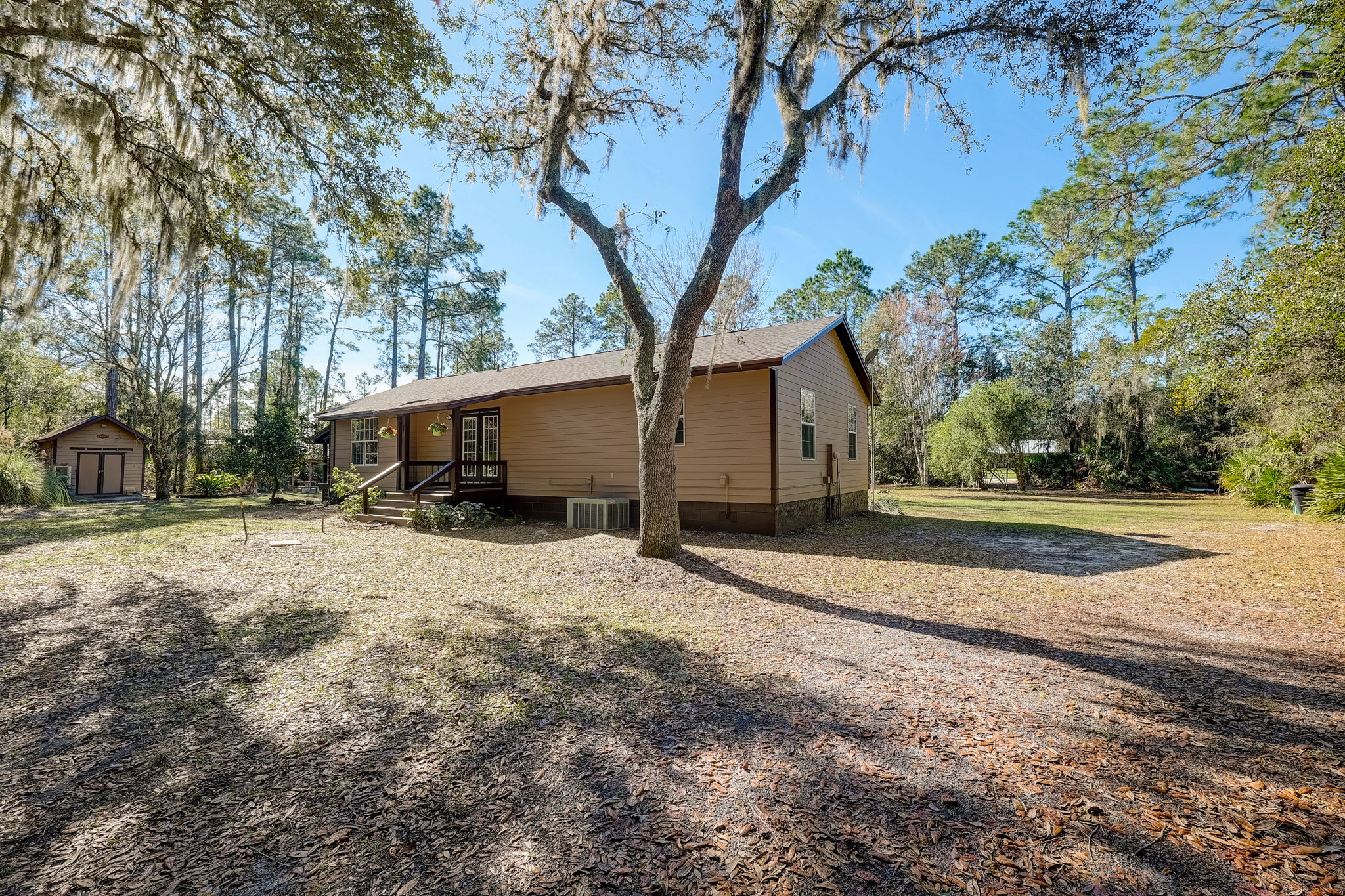 Water Oak Ct-031