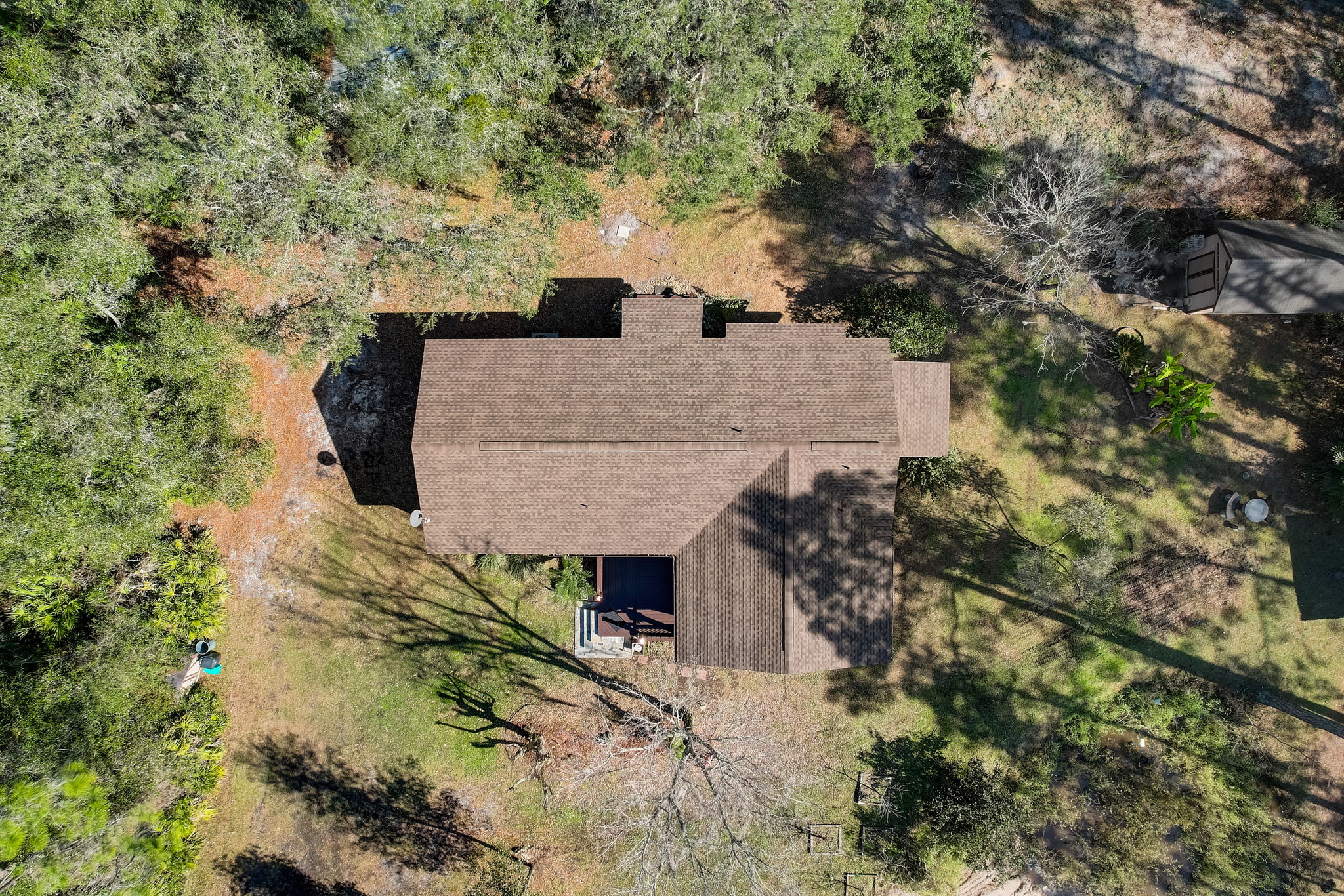 Water Oak Ct-037