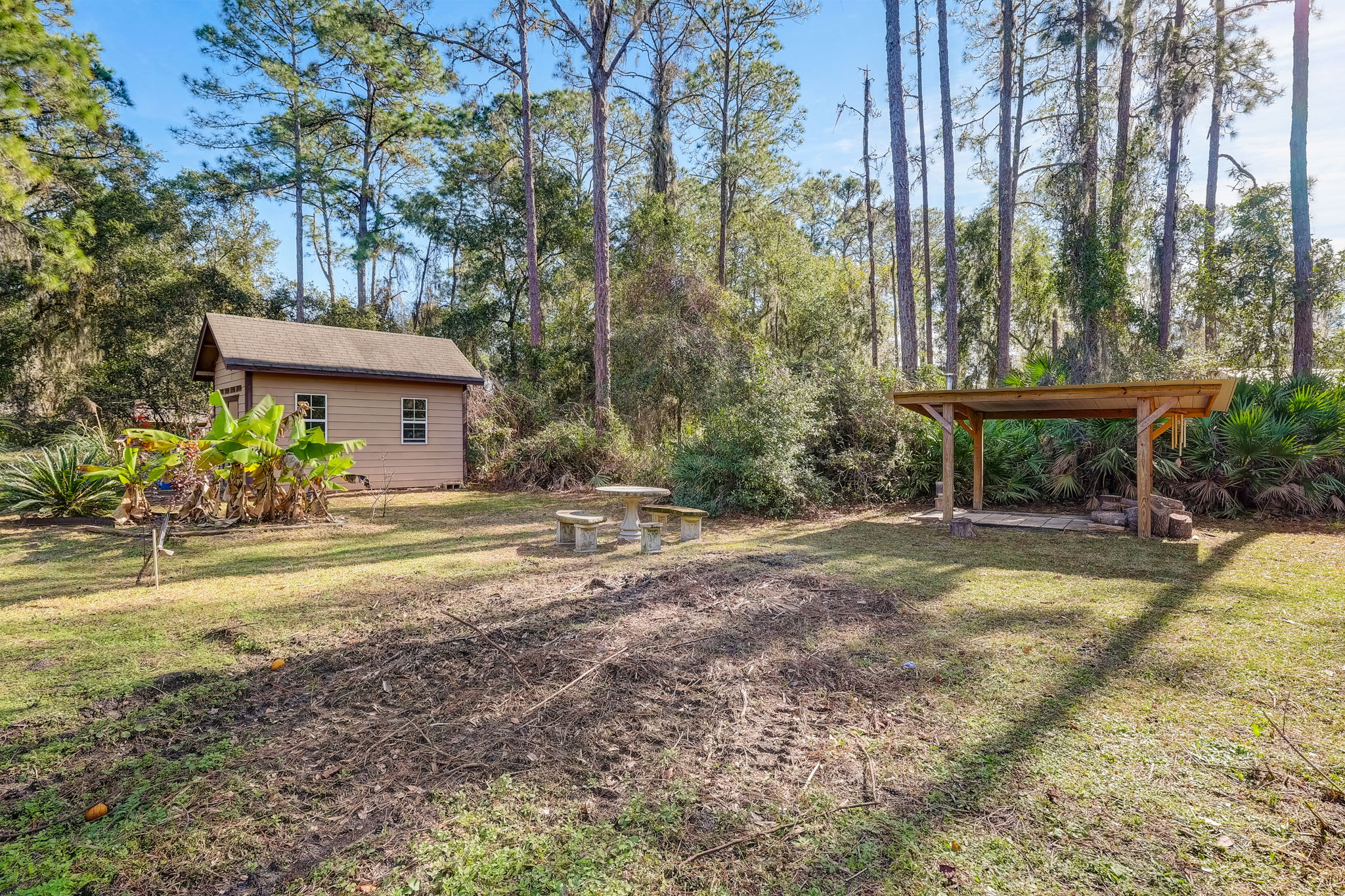 Water Oak Ct-033