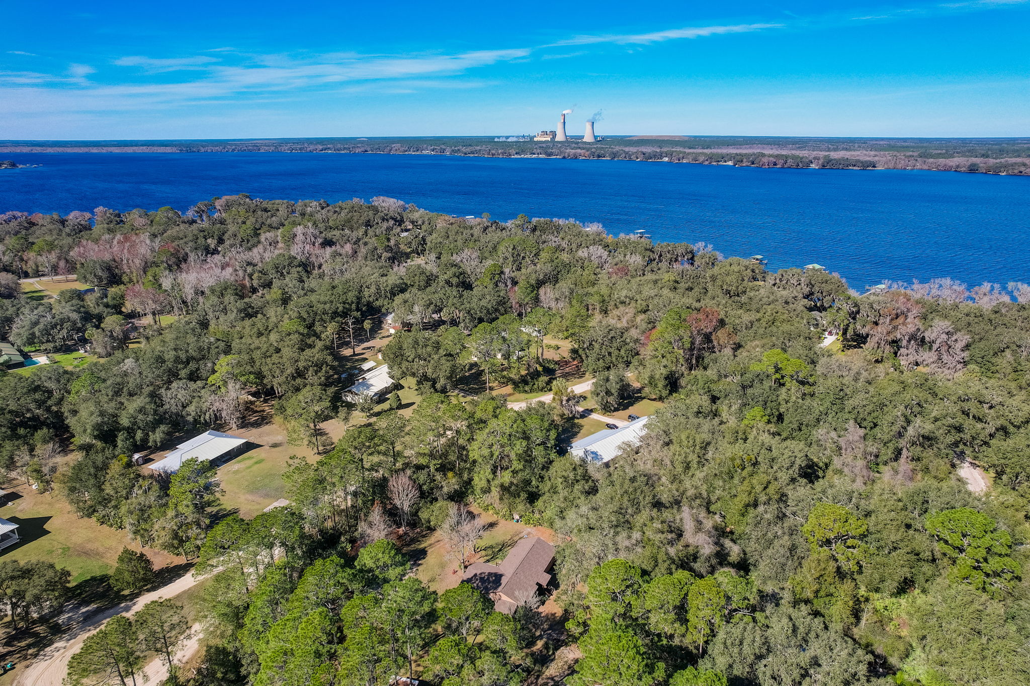 Water Oak Ct-036