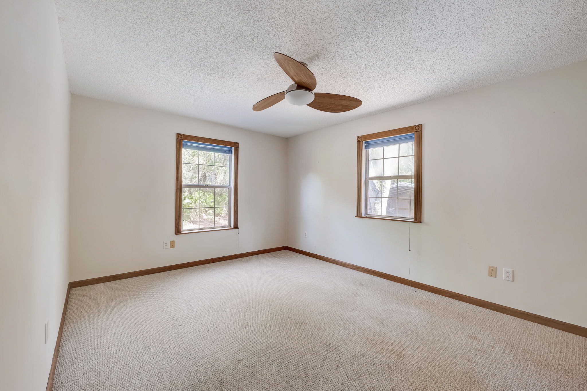 Water Oak Ct-022